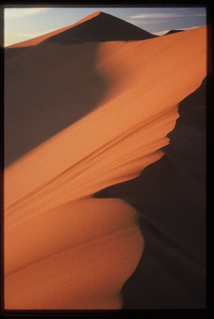 Sand Dunes by the Sea