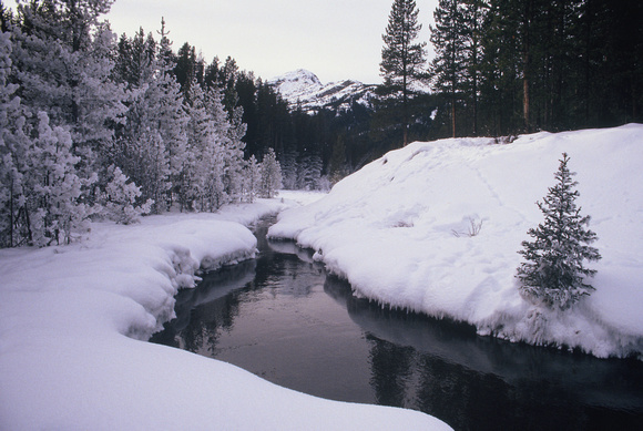 Yellowstone